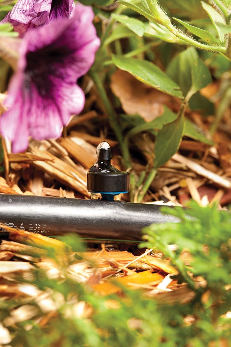 Drip System Repair Sprinkler Repair in Phoenix Sprinkler